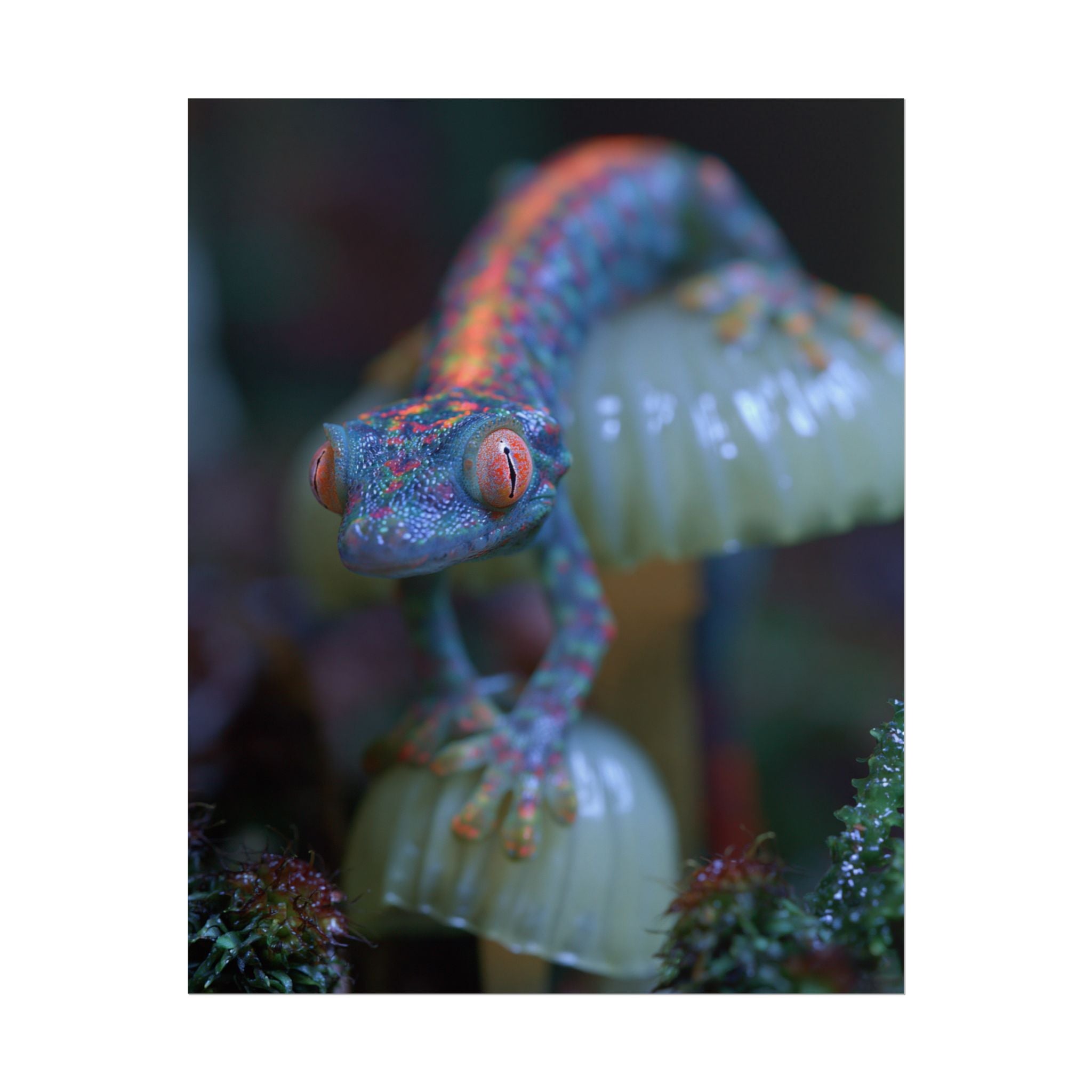 Bioluminescence poster