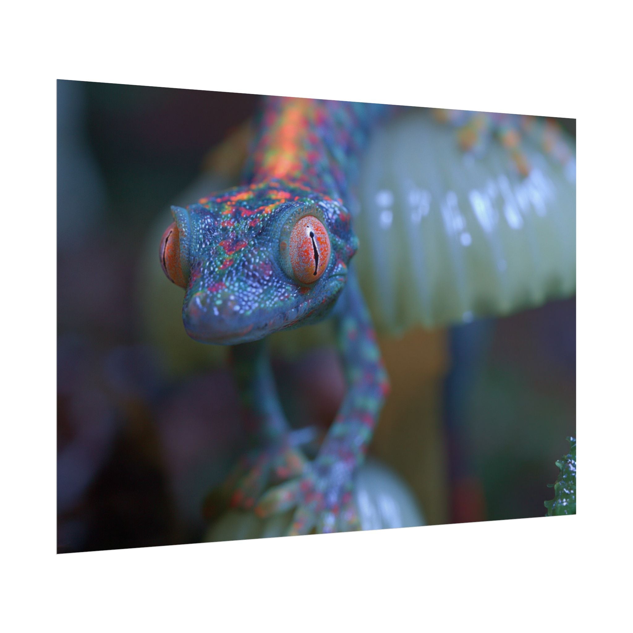 Bioluminescence poster