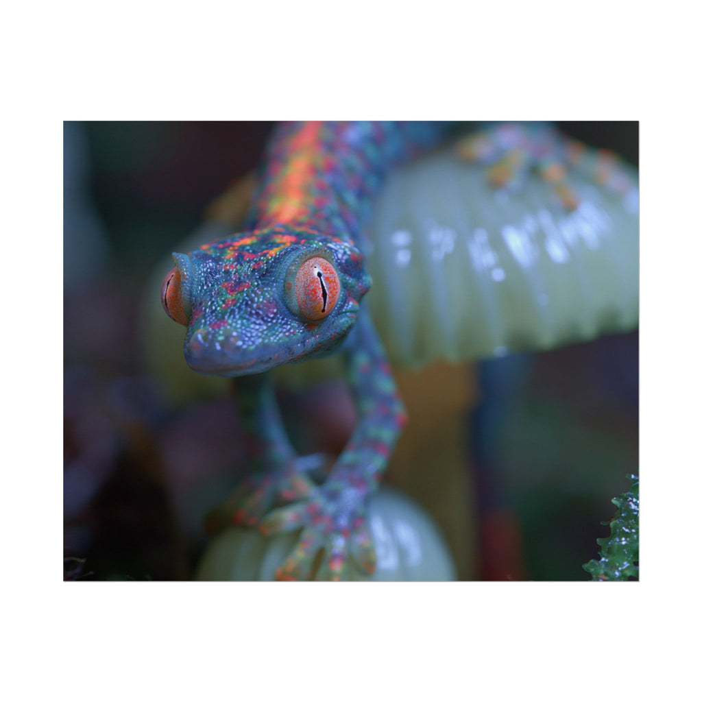 Bioluminescence poster