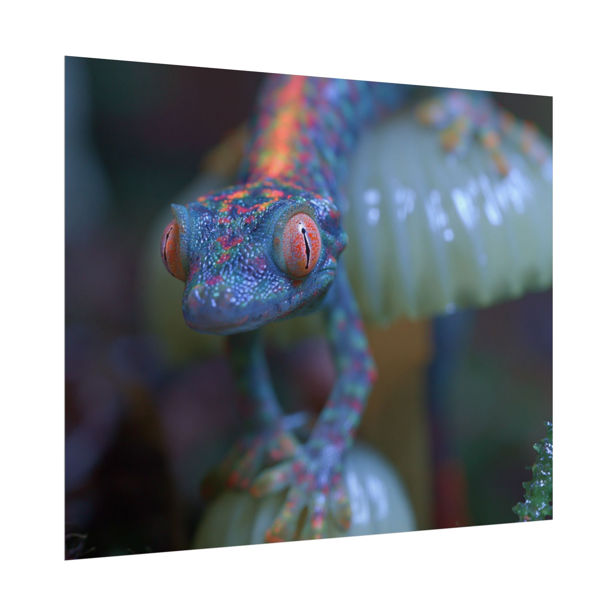 Bioluminescence poster