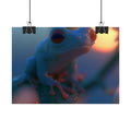 Sunset treefrog poster