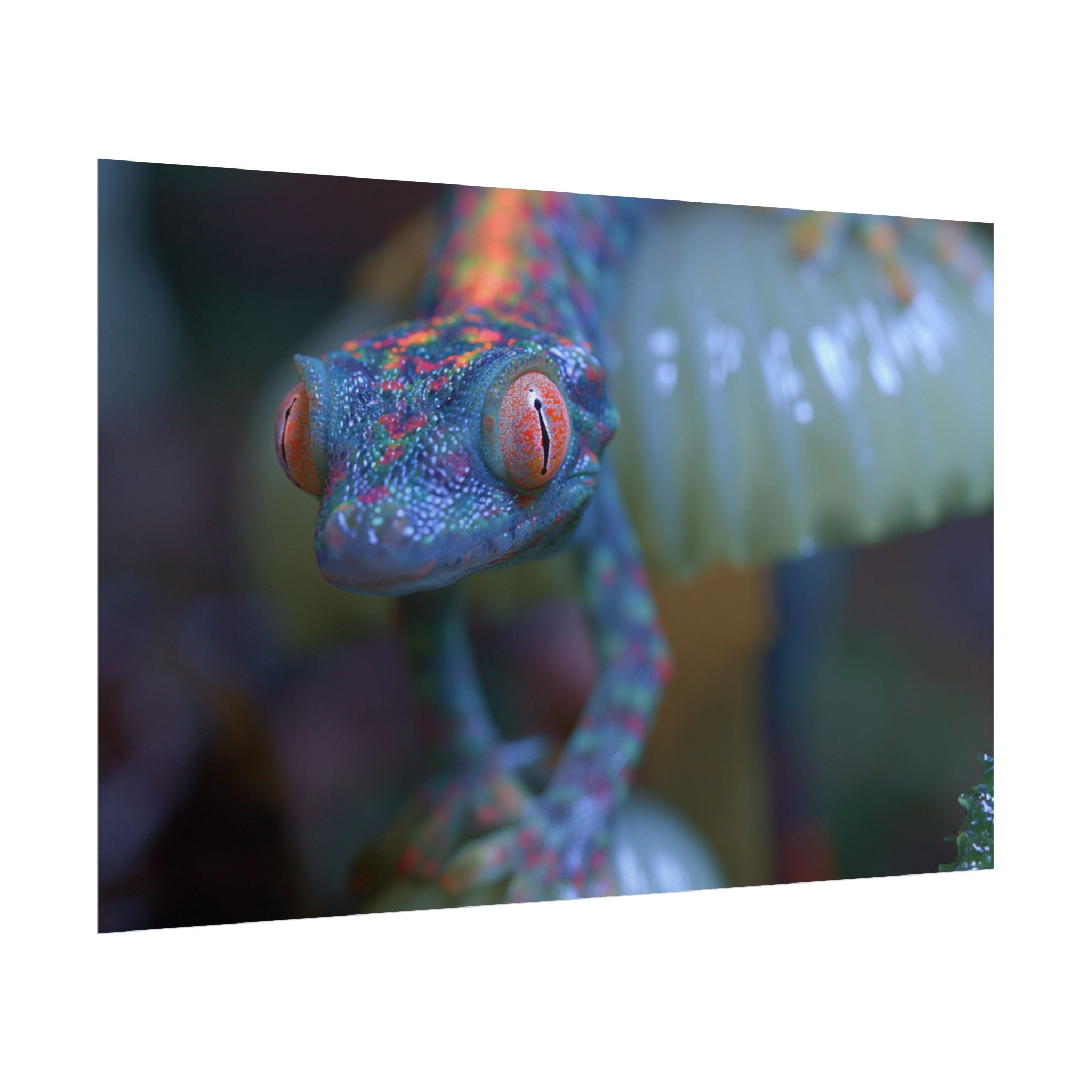 Bioluminescence poster