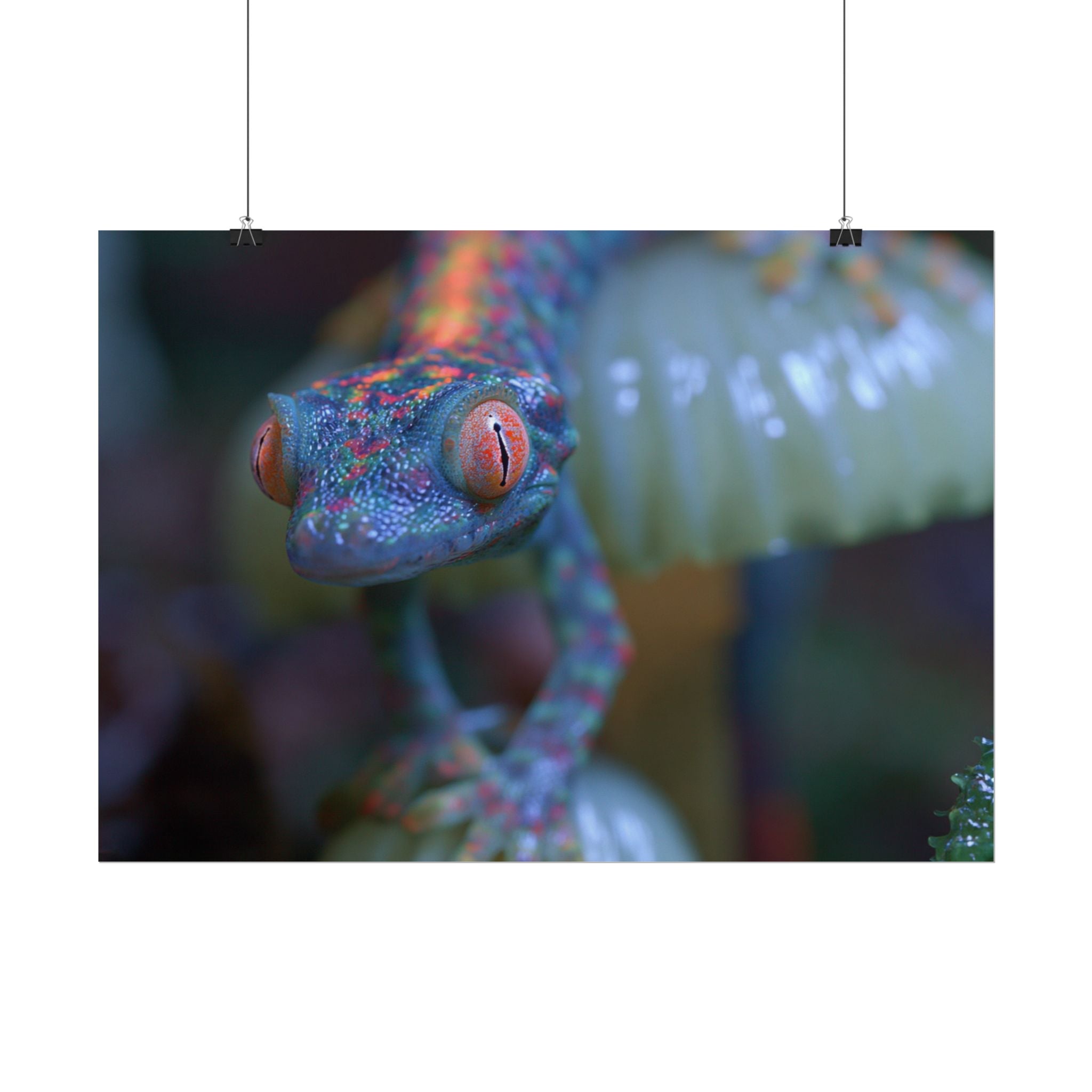 Bioluminescence poster