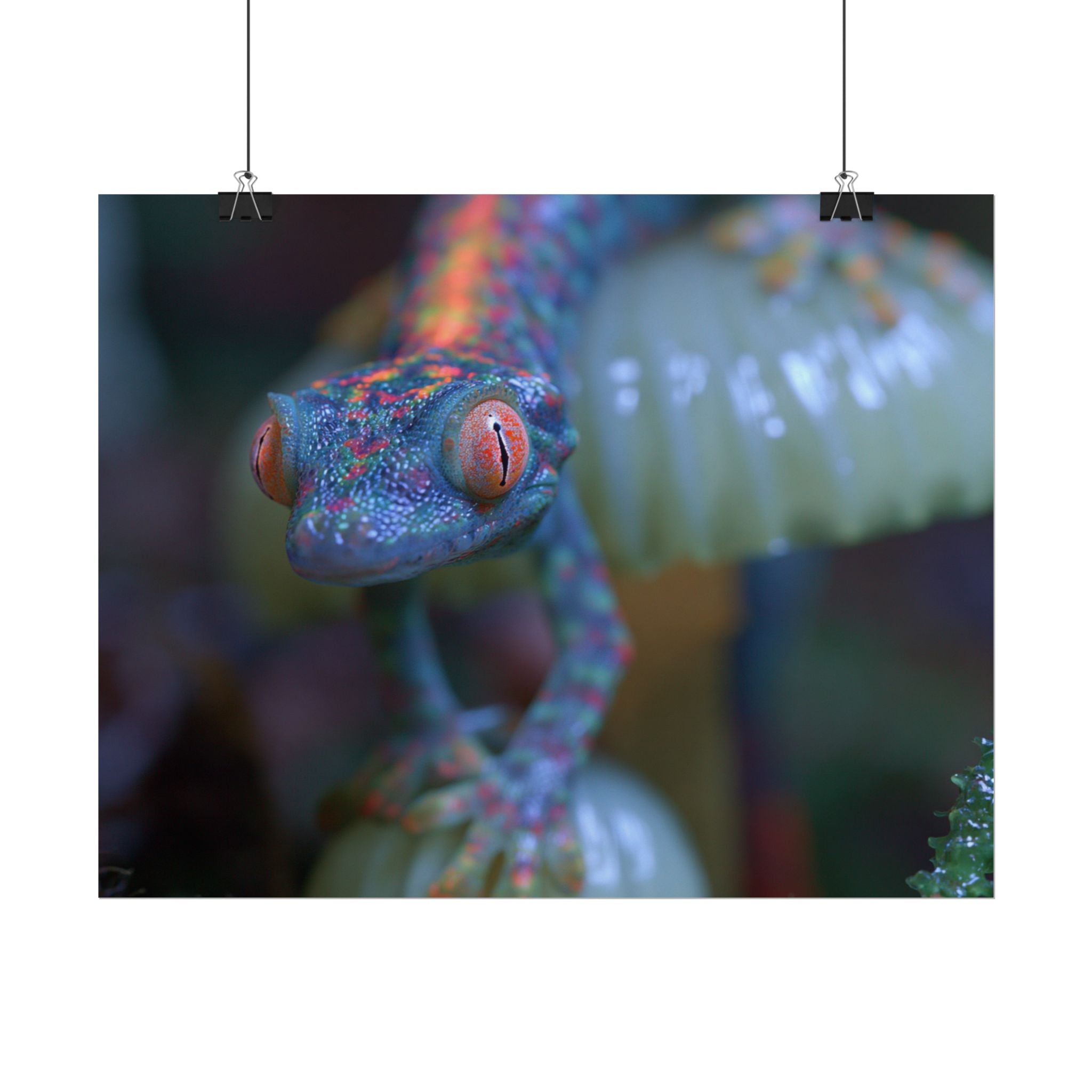 Bioluminescence poster