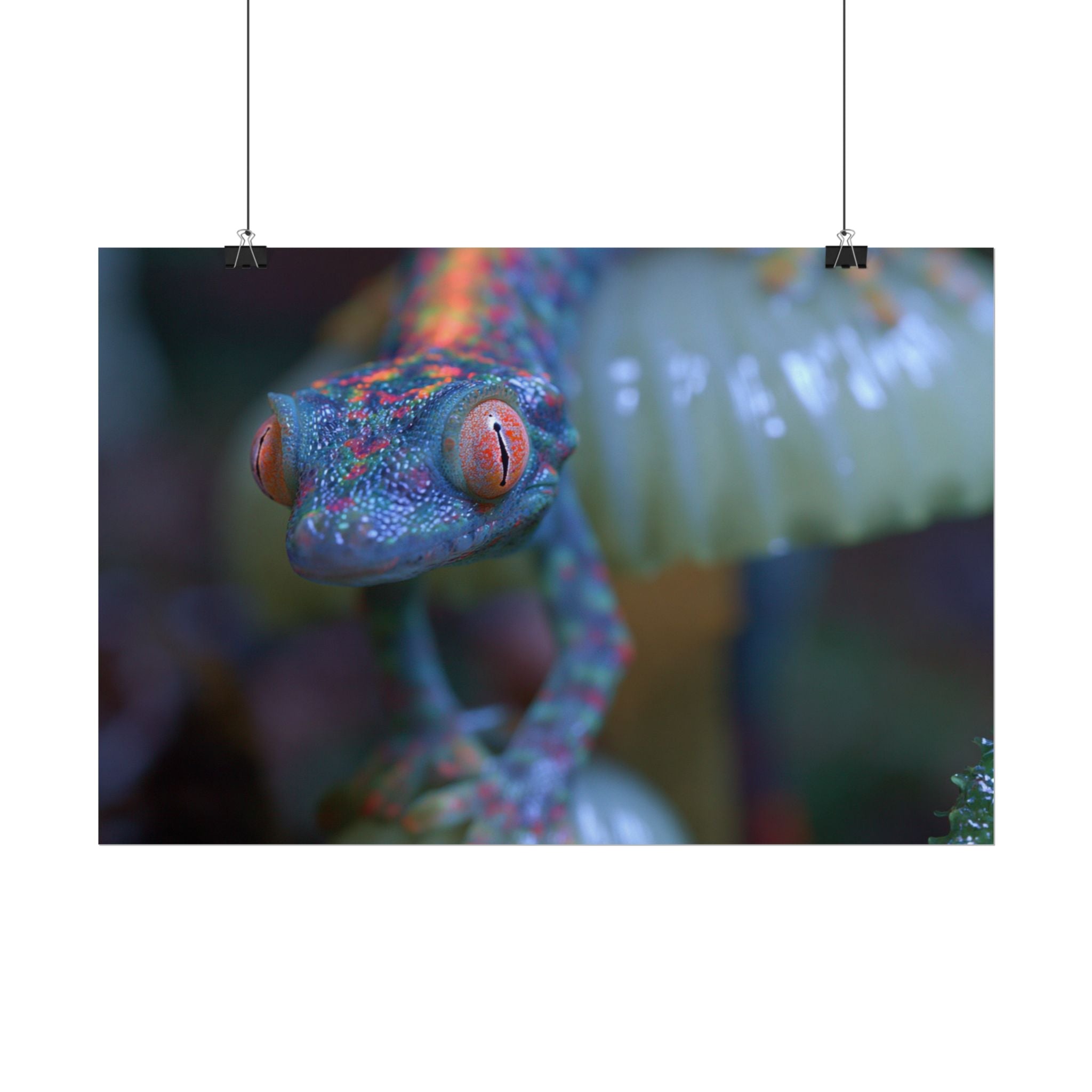 Bioluminescence poster