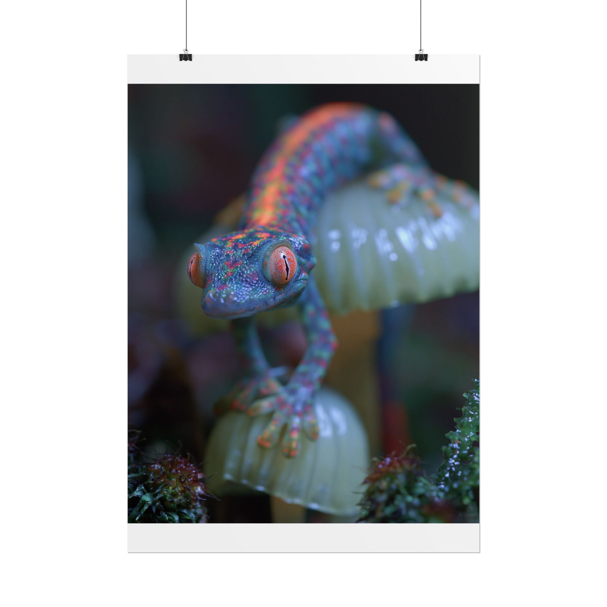 Bioluminescence poster