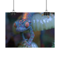 Bioluminescence poster