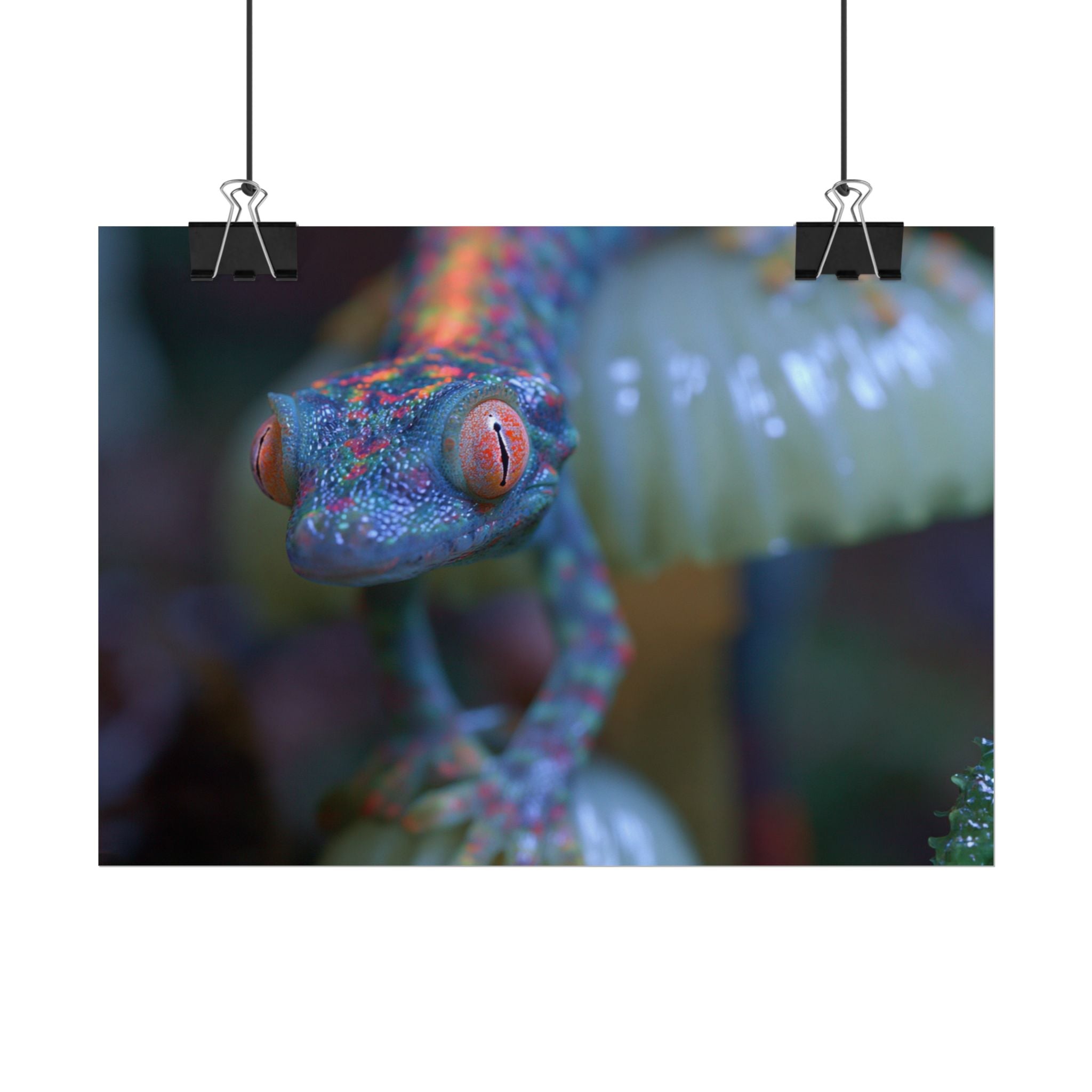 Bioluminescence poster