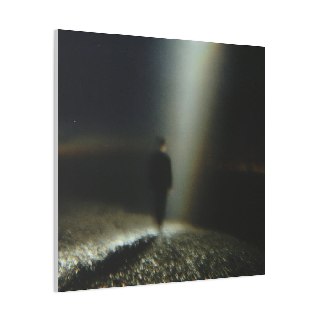 Lost matte Canvas print
