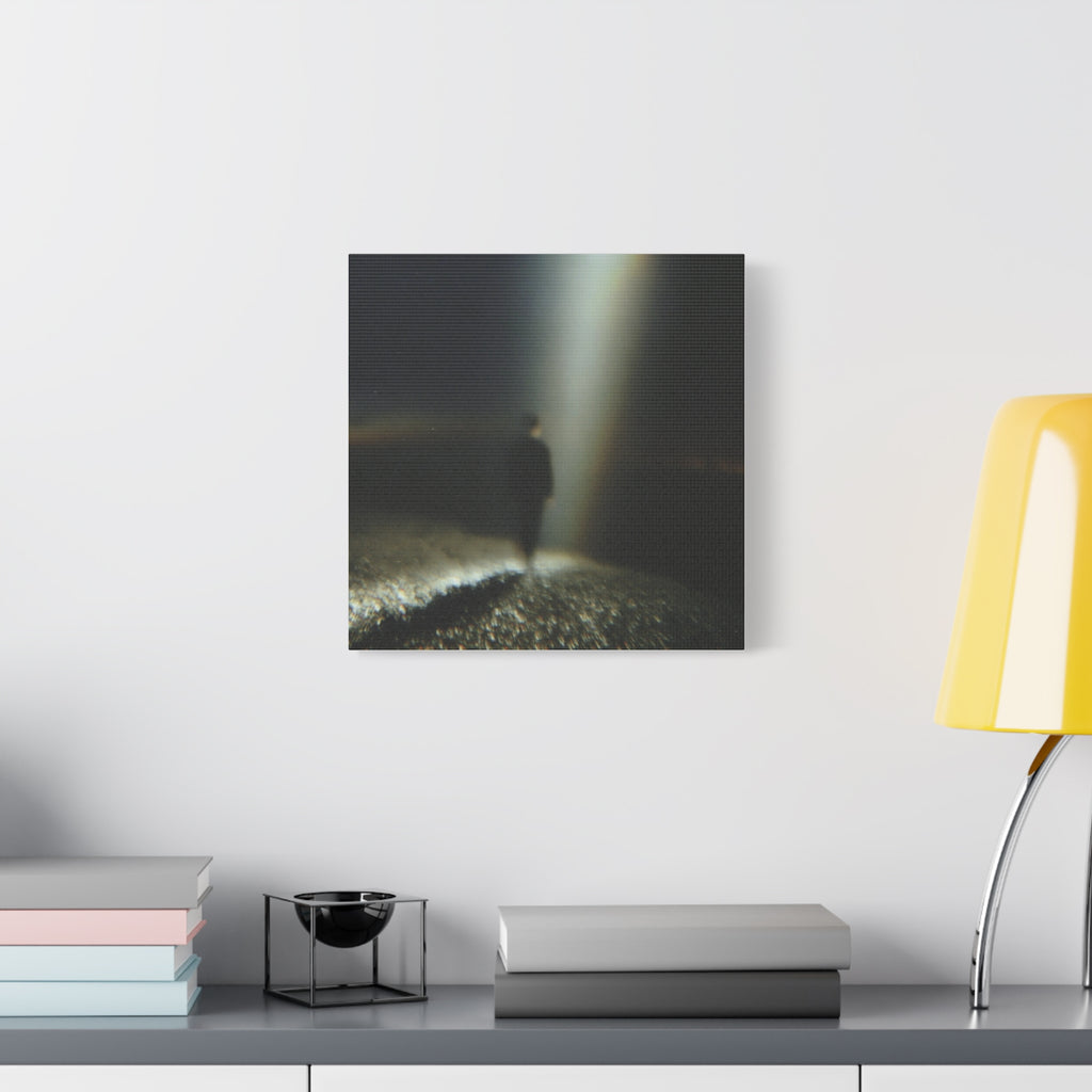 Lost matte Canvas print