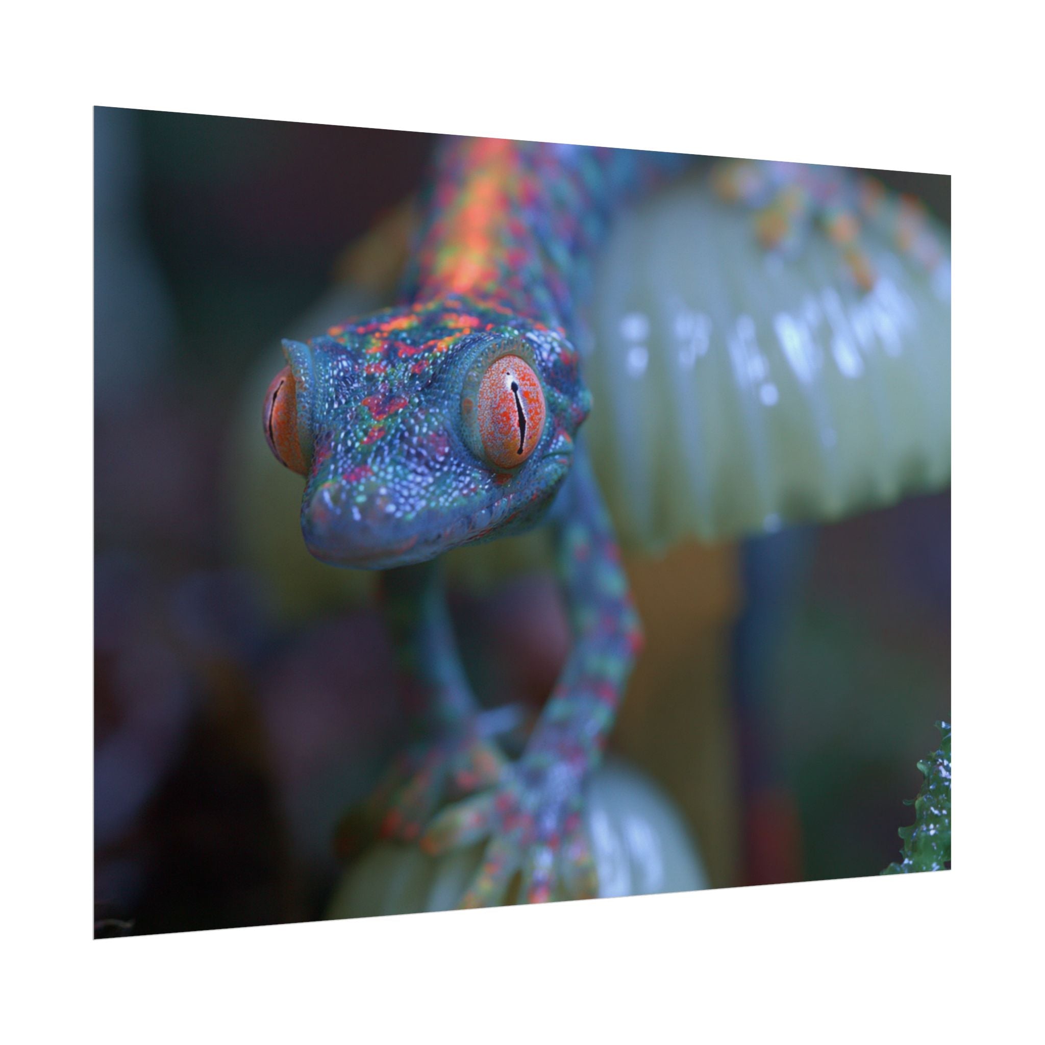 Bioluminescence poster