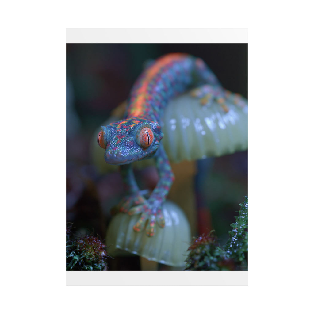 Bioluminescence poster