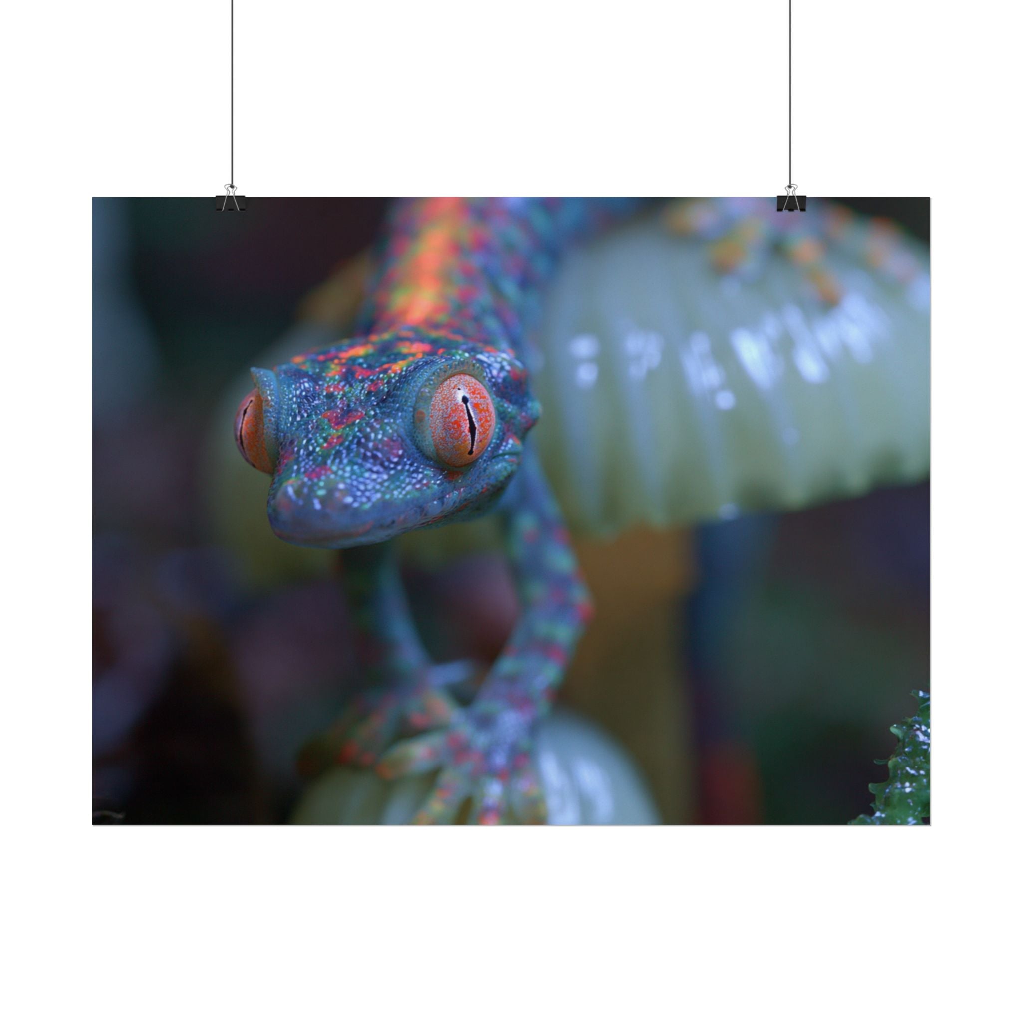 Bioluminescence poster