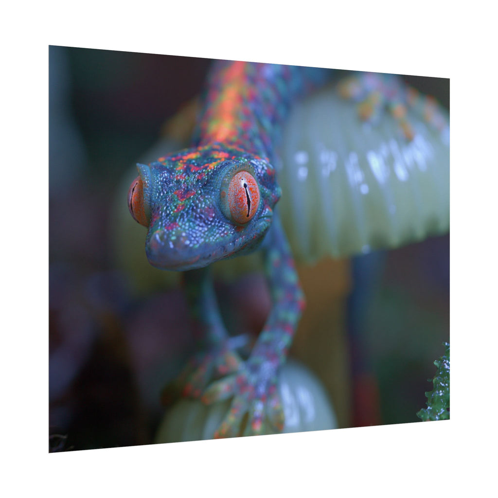 Bioluminescence poster